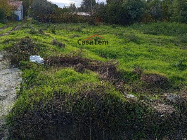Terreno venda em Nelas, Viseu