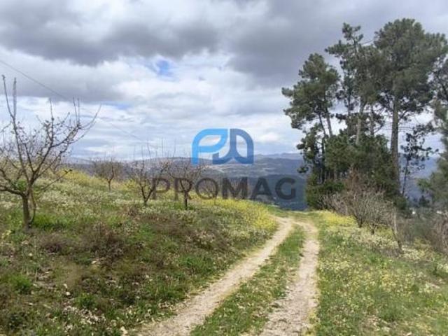 Terreno venda em Resende, Viseu