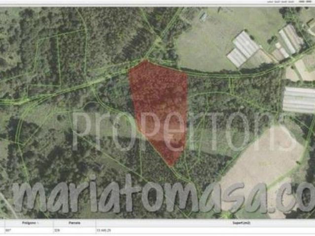 Terreno en venta en Parque Científico y Tecnológico de Bizkaia, Derio