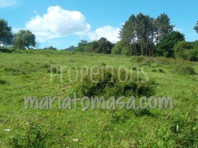 Terreno en venta en Parque Científico y Tecnológico de Bizkaia, Derio
