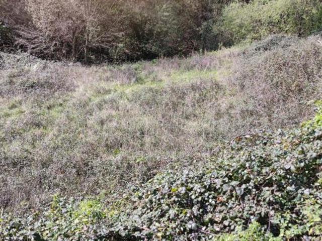 Terreno en venta en Derio, Guipúzcoa
