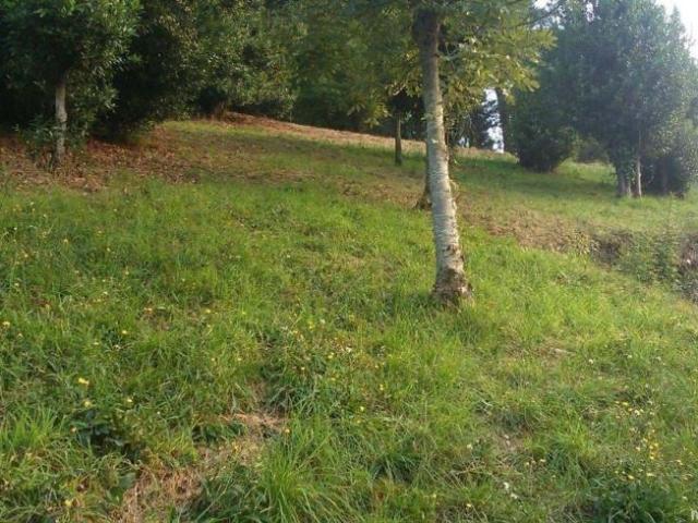 Terreno en venta en Parque Científico y Tecnológico de Bizkaia, Derio