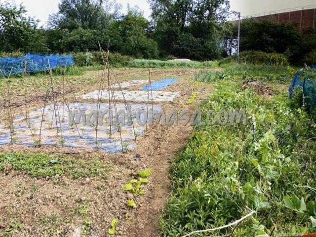 Terreno en venta en Derio, Guipúzcoa