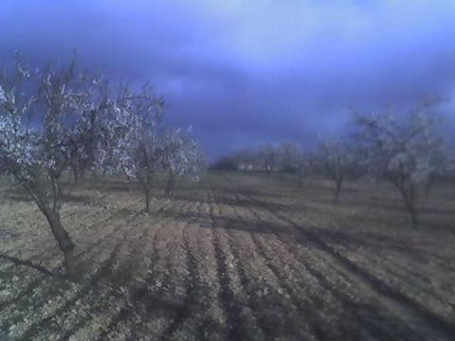 Terreno en venta en El Pulpillo, Altiplano