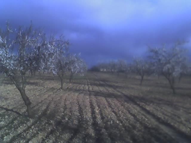 Terreno en venta en El Pulpillo, Altiplano