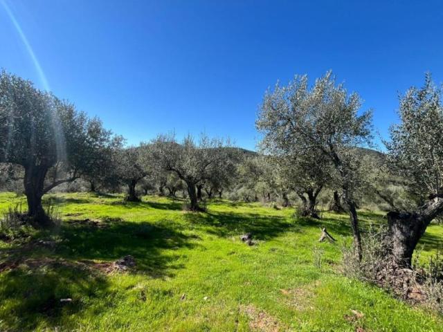 Terreno en venta en Sierra de Huelva, Andalucía