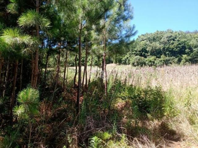 Terreno venda em Região Geográfica Imediata de Caxias do Sul, Gramado