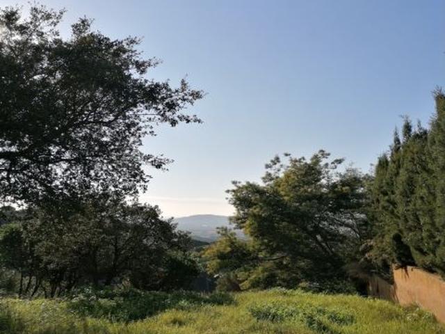 Local Comercial en venta en Mas de Mora, Maresme