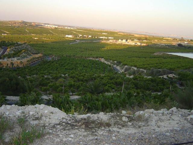 Terreno en venta en el Baix Segura / La Vega Baja, Valencia