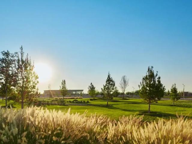 Terreno en venta en San Pedro Del Gallo, Durango