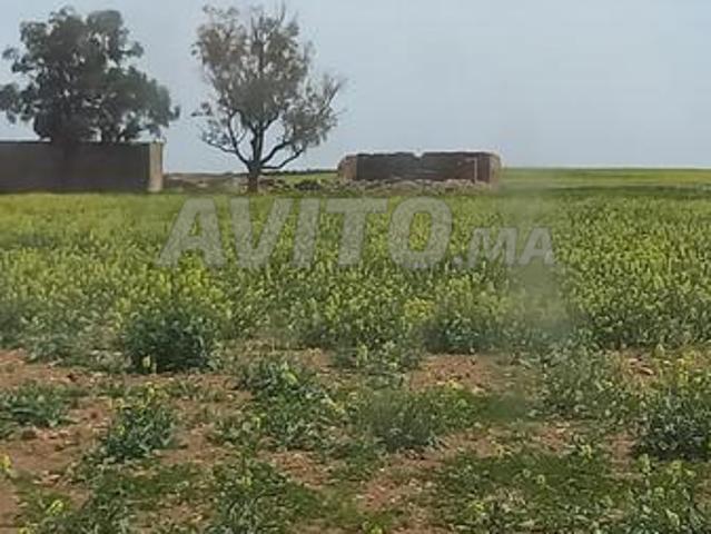 Propriété vente à El Borouj, Gharb-Chrarda-Beni Hssen