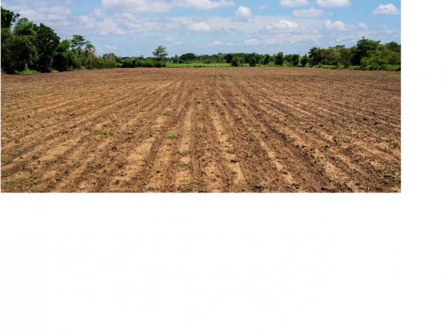 Terrain vente à Langon, Noaillac