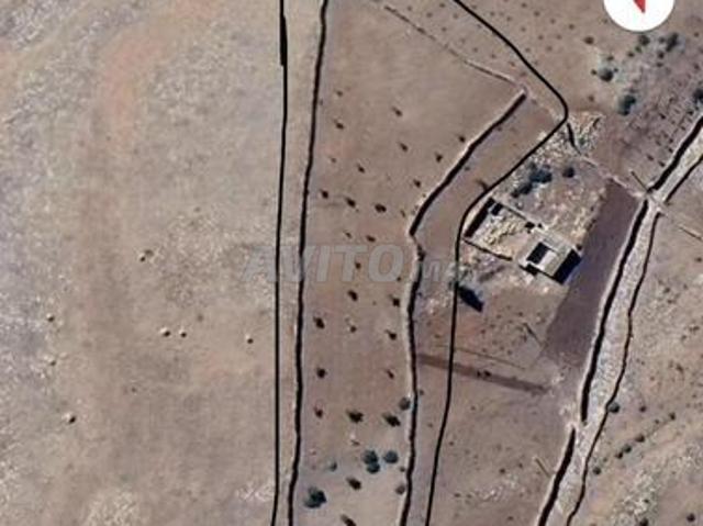 Propriété vente à Essaouira, L'Oriental