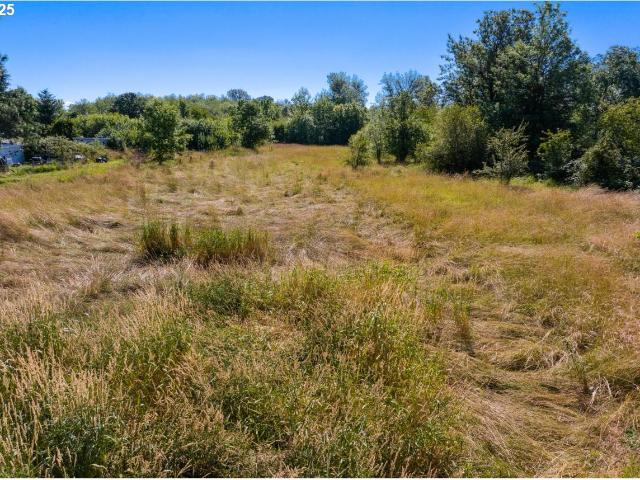 Land for sale in Elmira