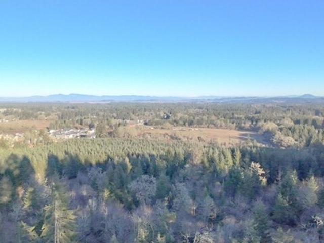 Land for sale in Veneta