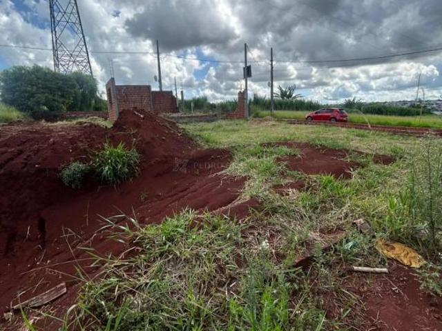 Terreno venda em Região Geográfica Imediata de Maringá, Sarandi