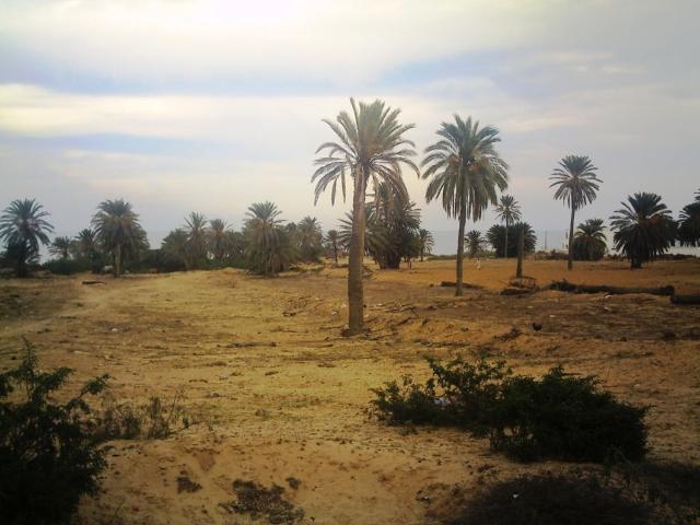 Terrain vente à Djerba - Houmet Essouk