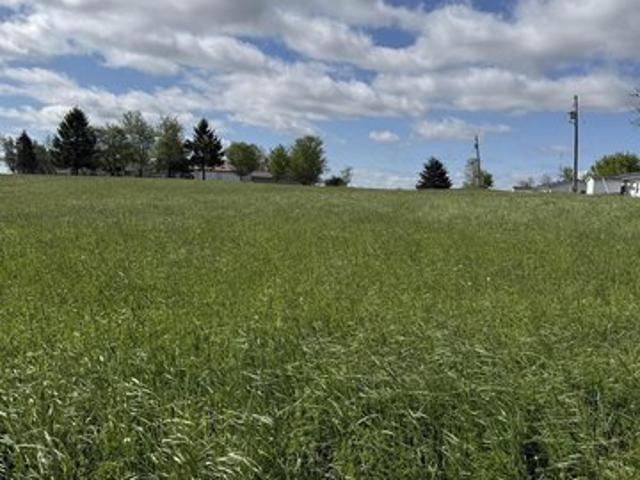 Land for sale in Hamilton, Indiana