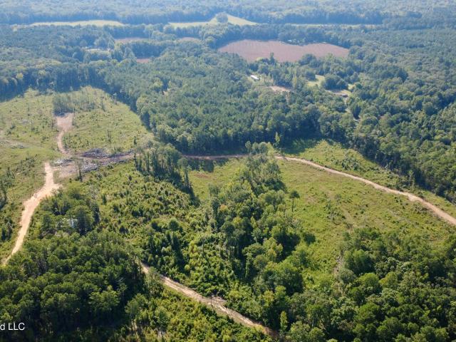 Land for sale in Kosciusko, Mississippi