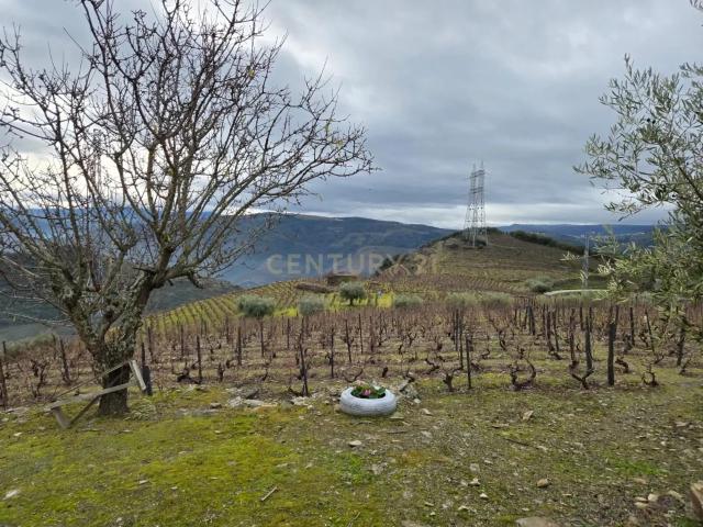 Terreno venda em Nagoselo Do Douro, Viseu