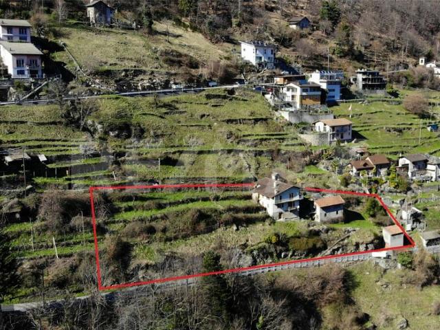 Immobilie kaufen in Centovalli, Tessin