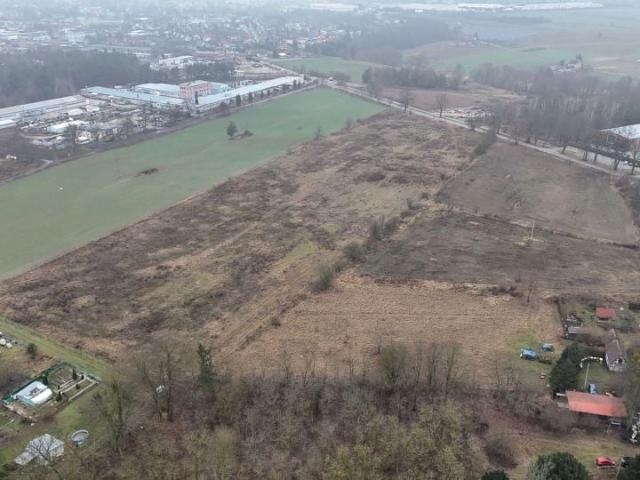 Grunt na sprzedaż w Trzcianka, Wielkopolskie
