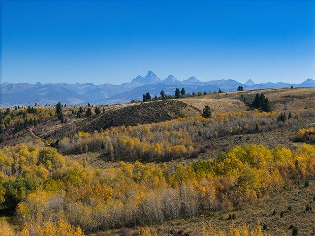 Farm for sale in Driggs, Idaho