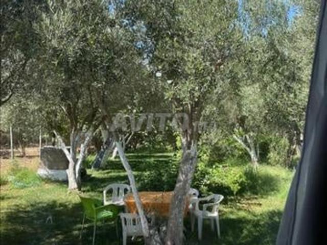 Propriété vente à Tétouan, Tanger-Tétouan