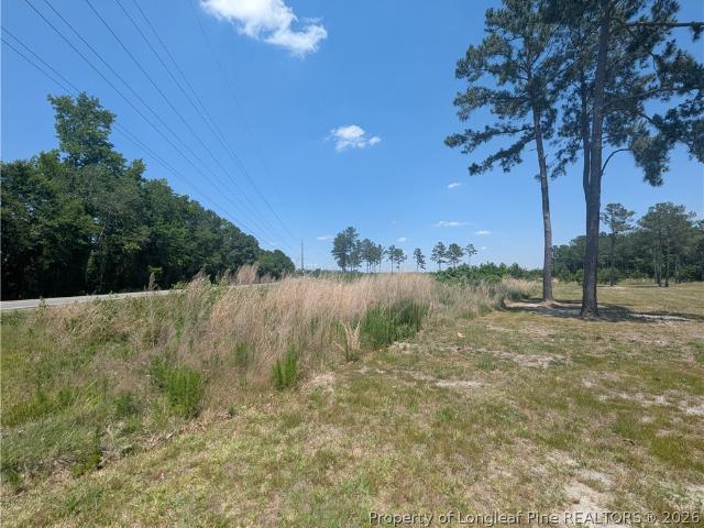 Land for sale in Autryville, North Carolina