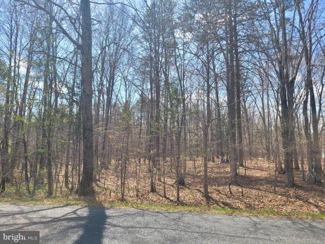 Land for sale in Virginia