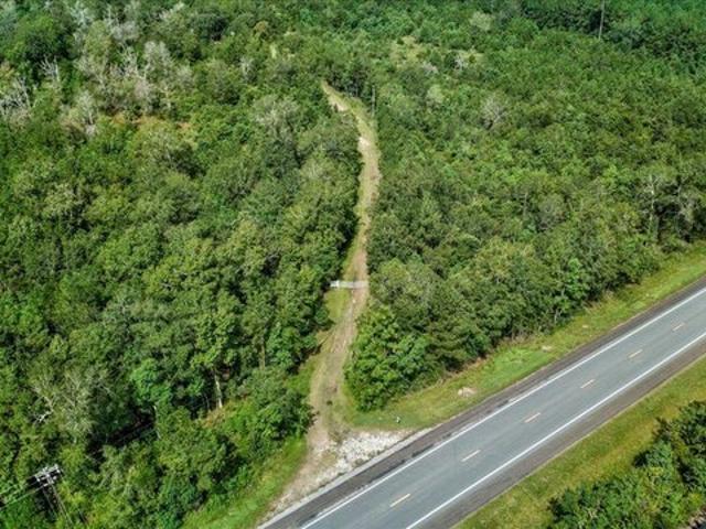 Land for sale in Buna, Jasper County