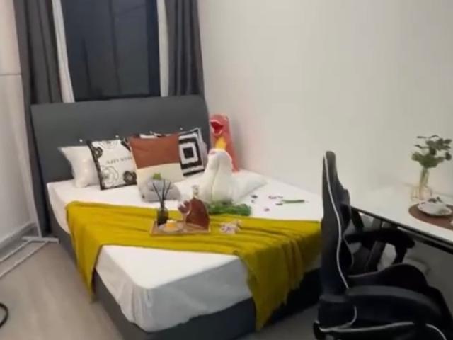Apartment for rent