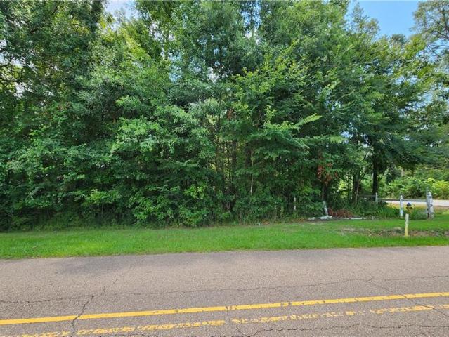 Land for sale in Mandeville, Louisiana