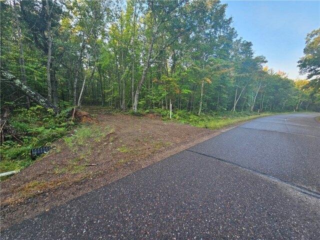 Land for sale in Holcombe, Wisconsin