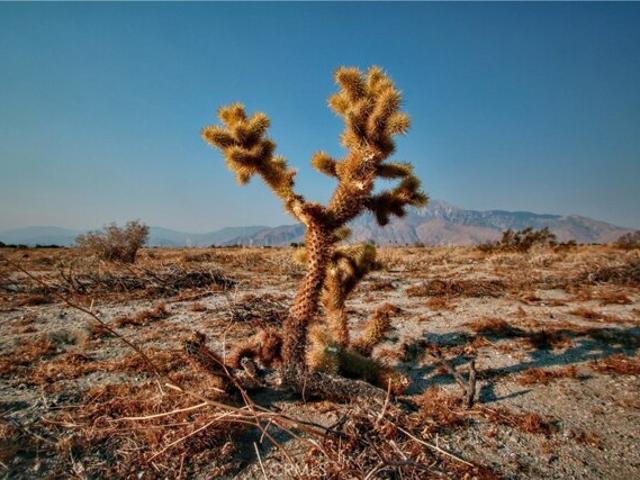Land for sale in Desert Hot Springs, California