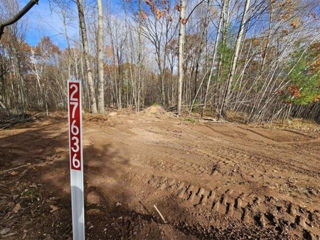 Land for sale in Holcombe, Wisconsin