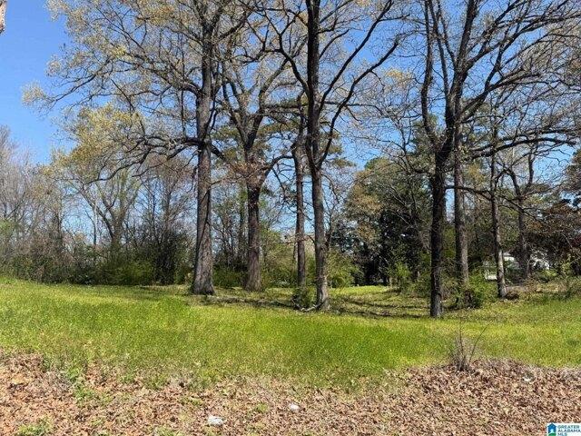 Land for sale in Midfield
