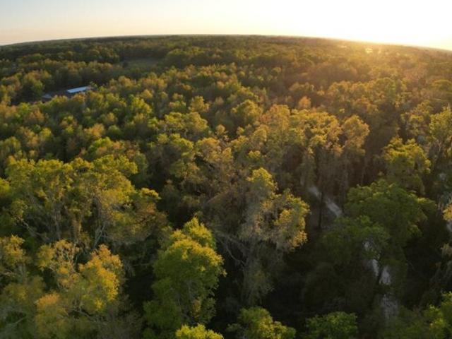 Land for sale in Live Oak