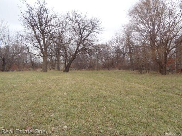 Land for sale in Detroit