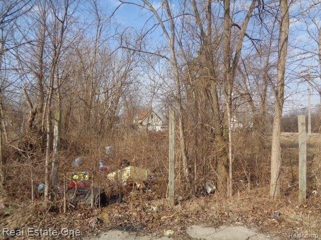 Land for sale in Detroit