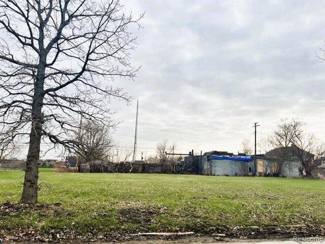 Land for sale in Detroit