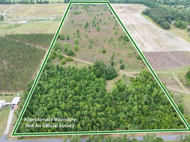 Land for sale in Live Oak