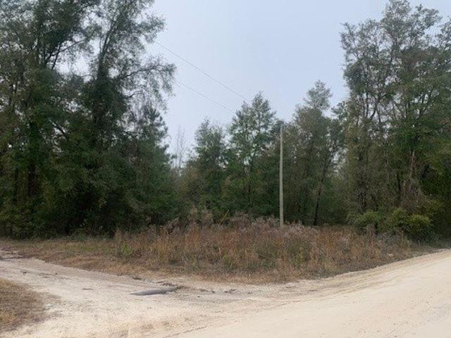 Land for sale in Live Oak