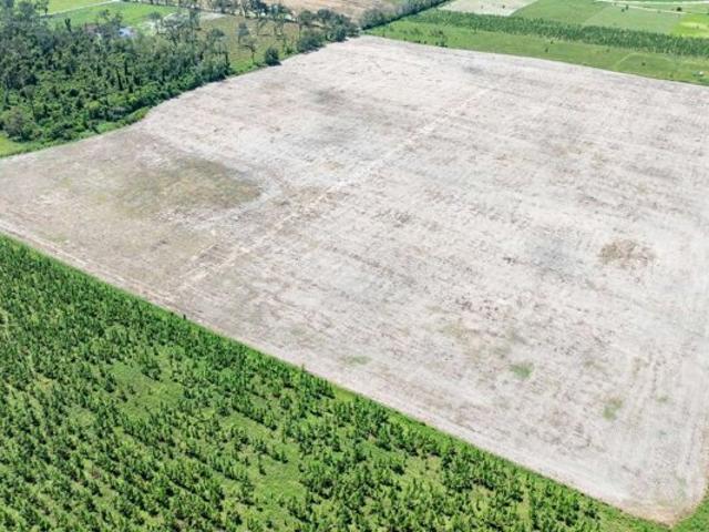 Land for sale in Live Oak