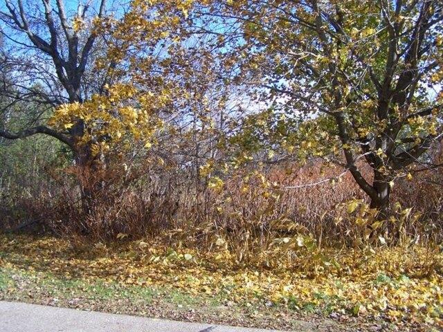 Land for sale in Harrisville Land for sale in Harrisville