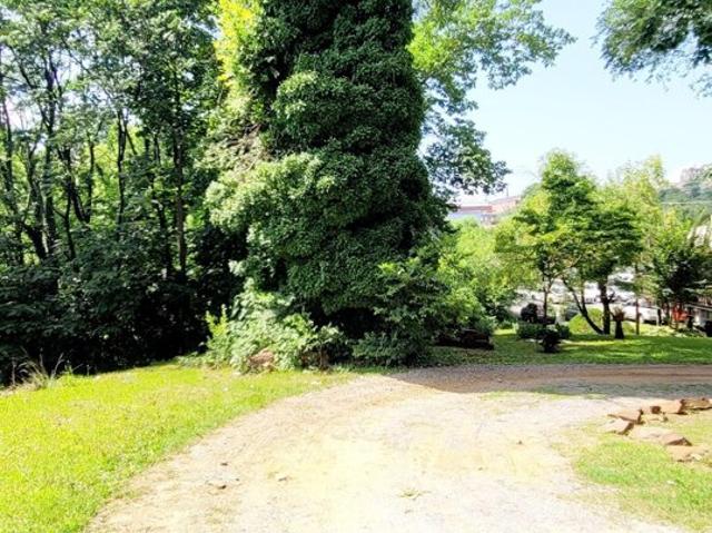 Land for sale in Lynchburg