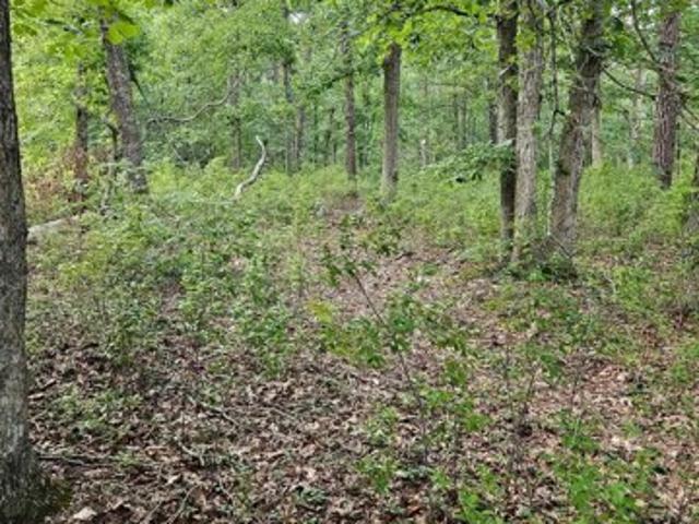 Land for sale in Mizpah, New Jersey