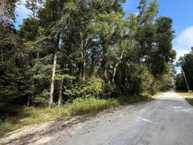 Land for sale in Old Town, Florida