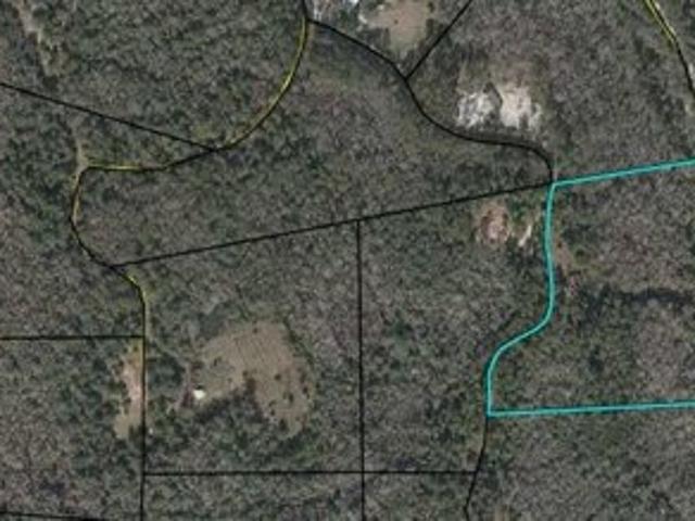 House for sale in Steinhatchee, Florida