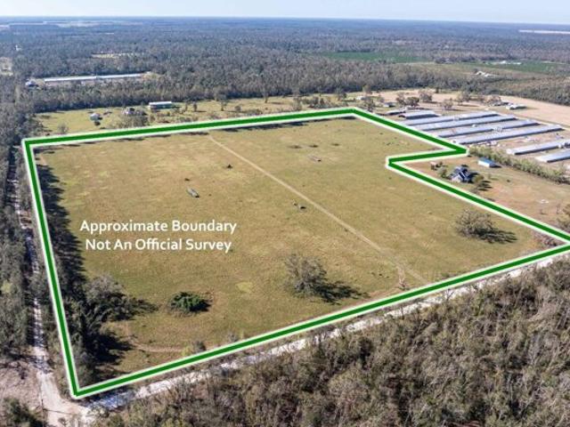 Land for sale in Live Oak